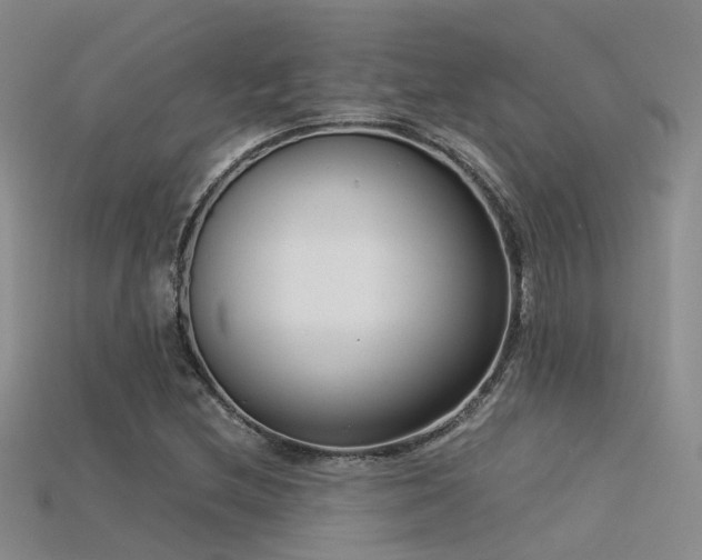 X0000115821212200911131437