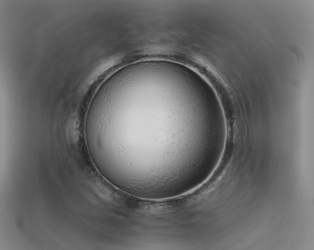 X0000115821213200911131437