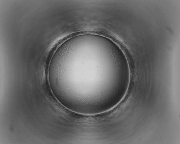 X0000115821214200911131437