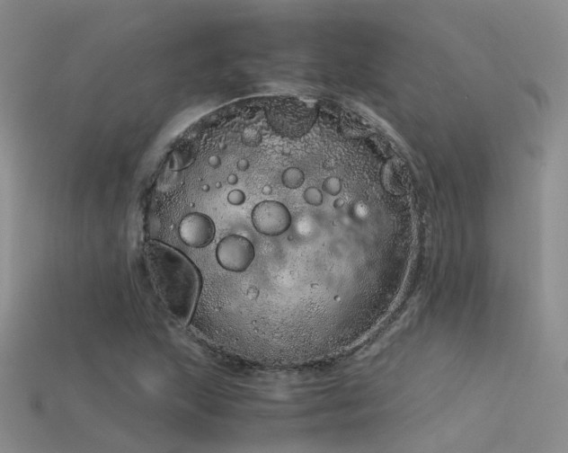 X0000115821215200911131437