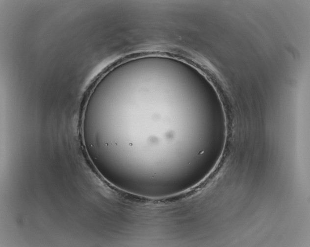 X0000115821216200911131438