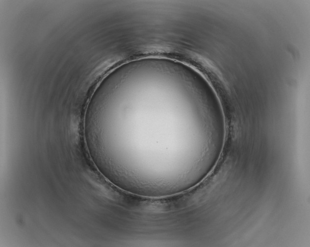 X0000115821217200911131438