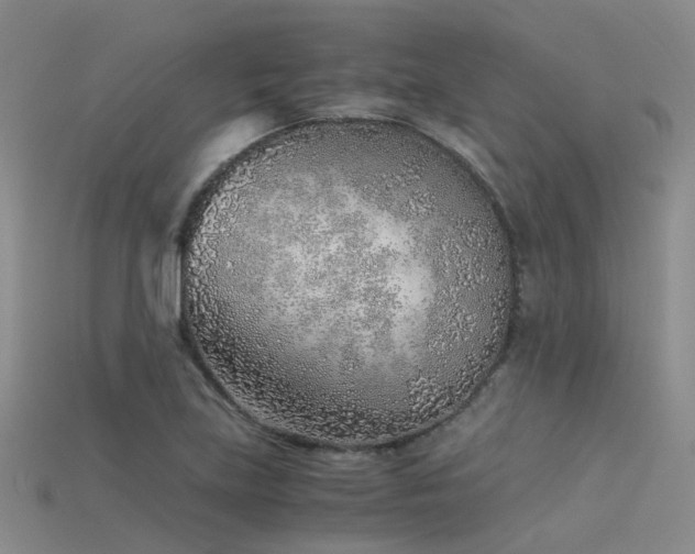 X0000115821219200911131438