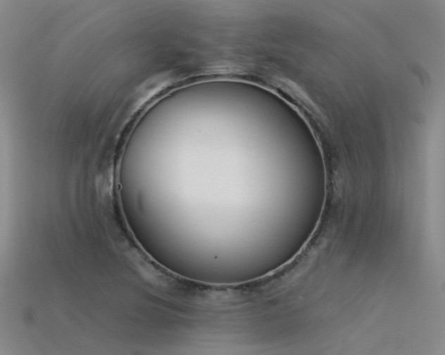 X0000115821220200911131438