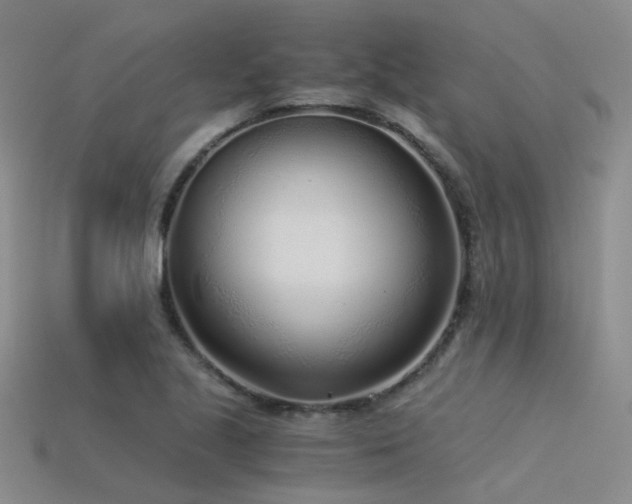 X0000115821221200911131438