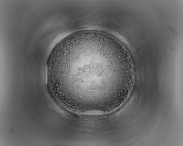 X0000115821223200911131438