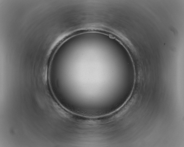 X0000115821224200911131438