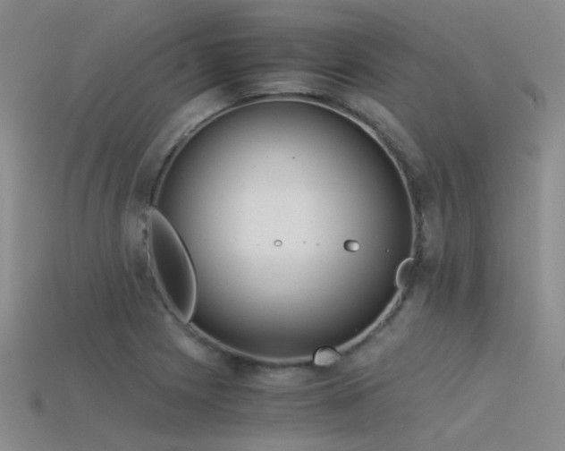 X0000115821225200911131438