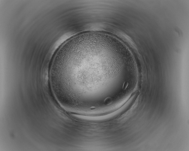 X0000115821226200911131438