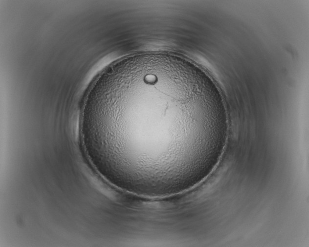 X0000115821227200911131438