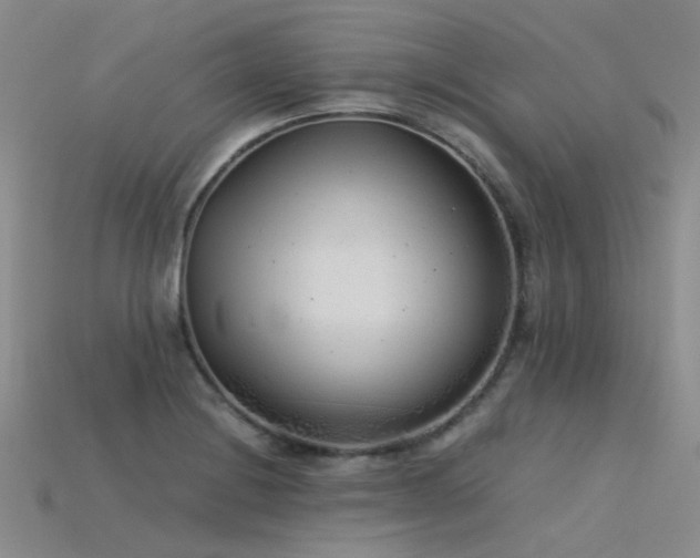 X0000115821228200911131438