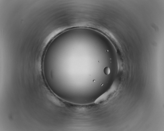 X0000115821230200911131438