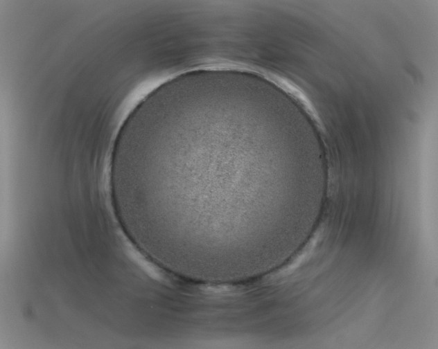 X0000115821231200911131438