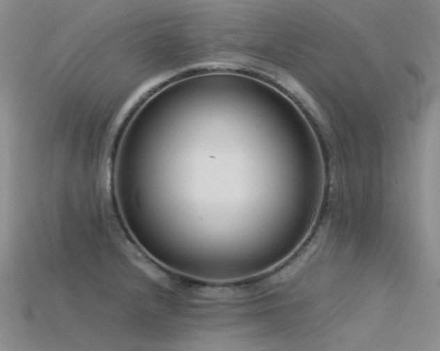 X0000115821232200911131438