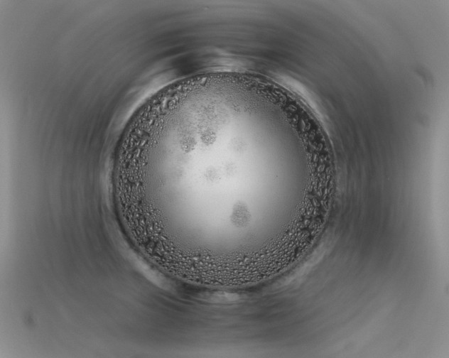 X0000115821235200911131438