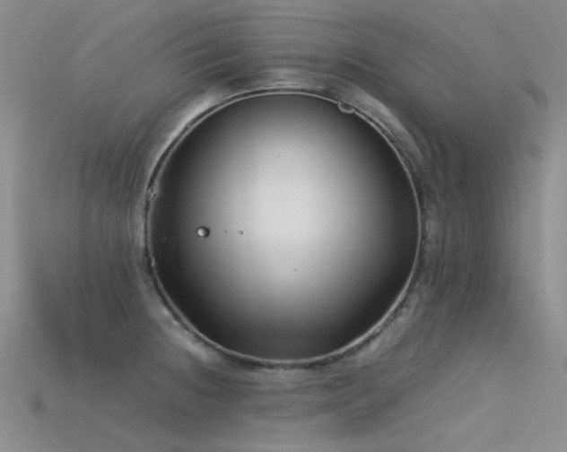 X0000115821236200911131438