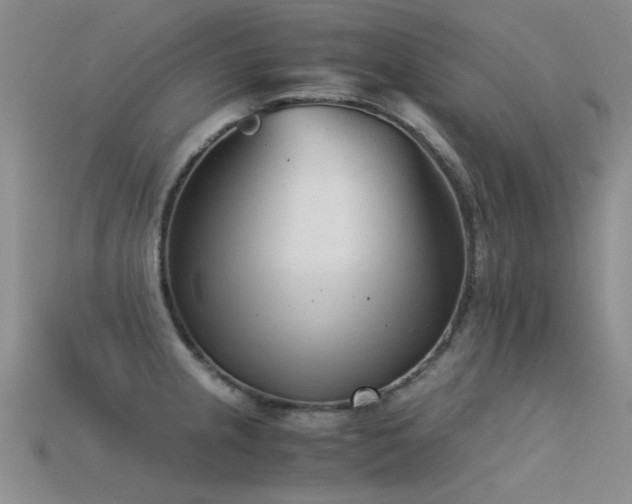 X0000115821237200911131438