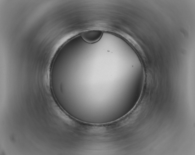 X0000115821238200911131438