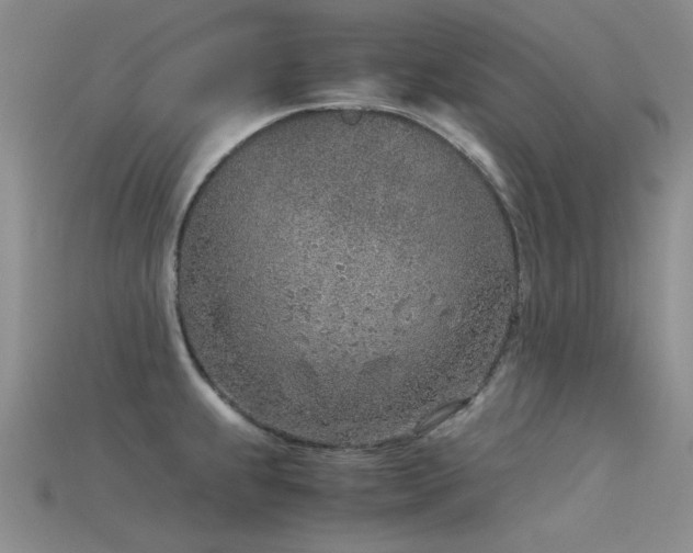 X0000115821239200911131438