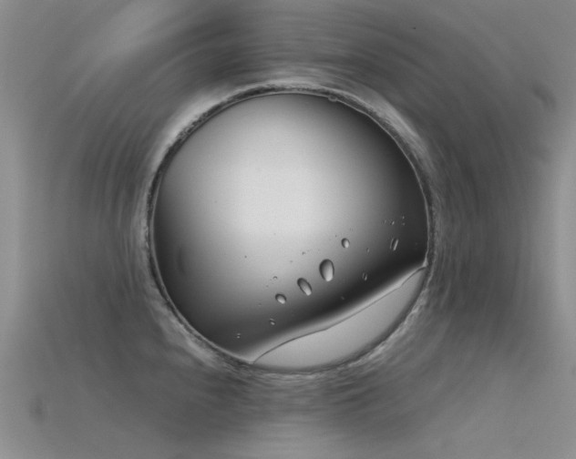 X0000115821240200911131438