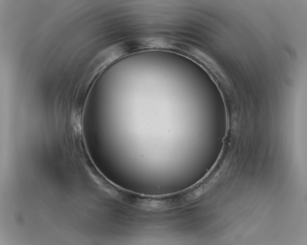 X0000115821241200911131438