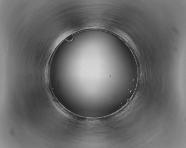 X0000115821242200911131438