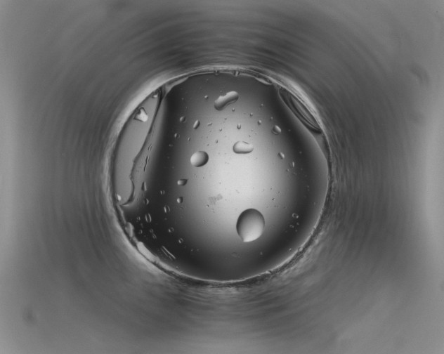 X0000115821243200911131438