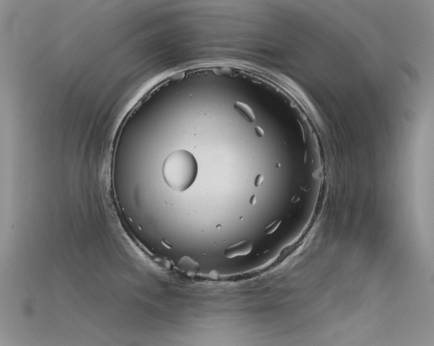 X0000115821244200911131438