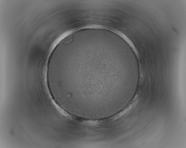 X0000115821245200911131438