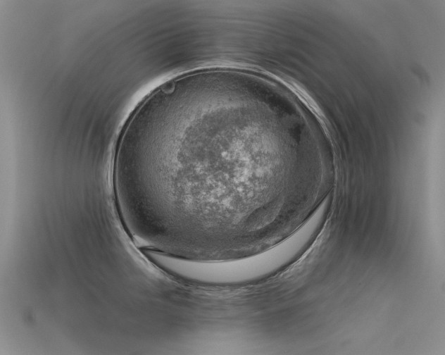 X0000115821246200911131438