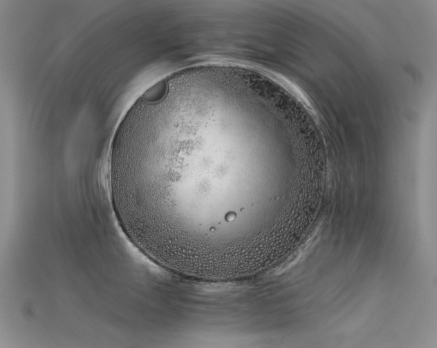 X0000115821247200911131438