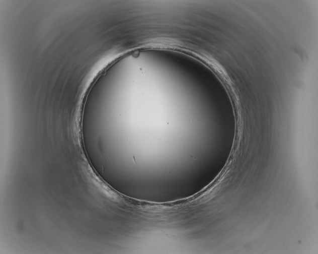 X0000115821248200911131438