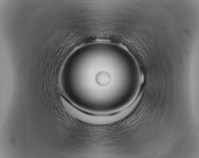 X0000115821249200911131437