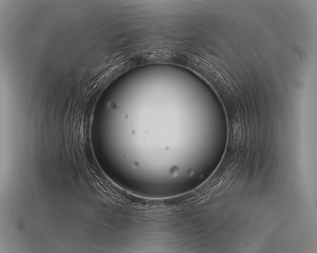 X0000115821250200911131437