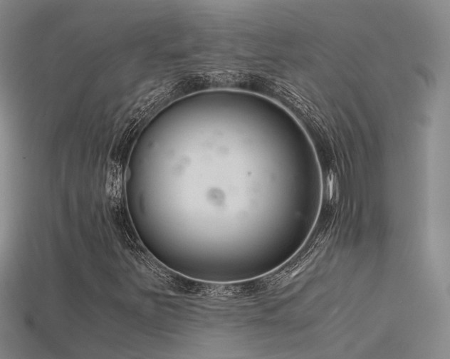 X0000115821251200911131437