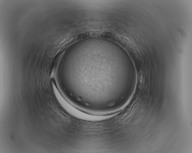 X0000115821252200911131437