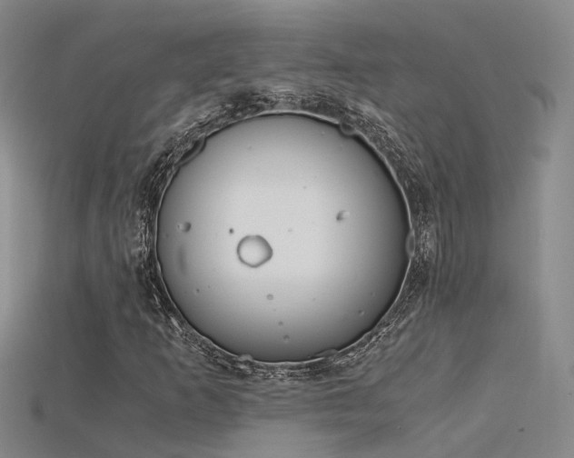 X0000115821253200911131437