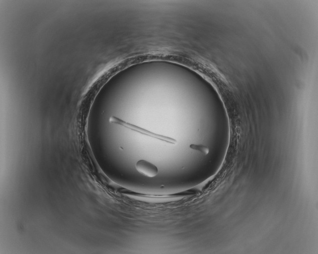 X0000115821256200911131437