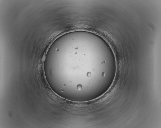 X0000115821257200911131437