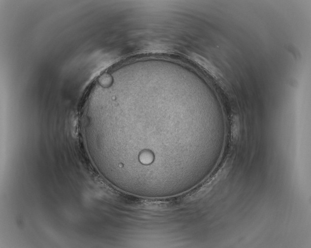 X0000115821258200911131437