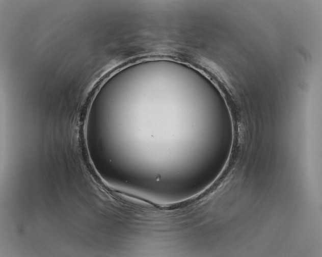 X0000115821260200911131437