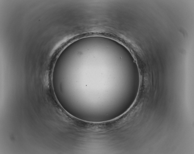 X0000115821262200911131437