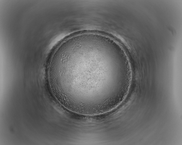 X0000115821263200911131437