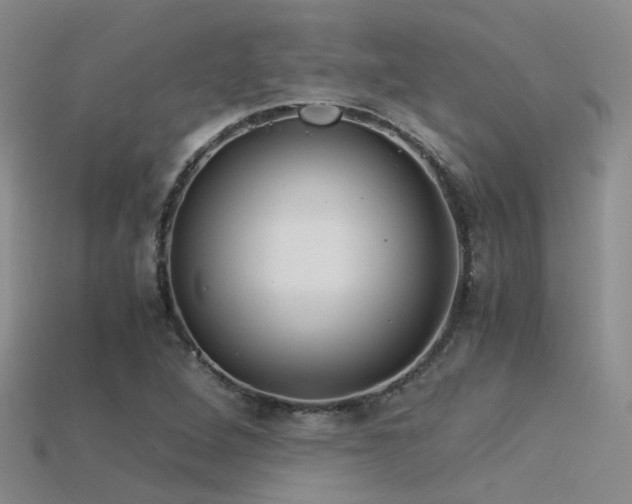 X0000115821264200911131437