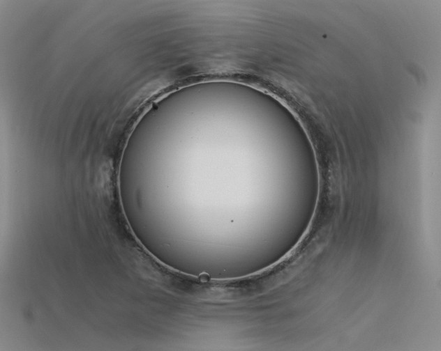 X0000115821265200911131437