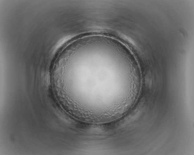 X0000115821267200911131437