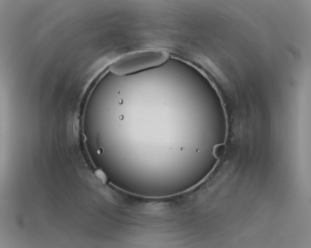 X0000115821268200911131437