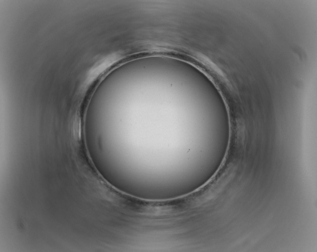 X0000115821269200911131437