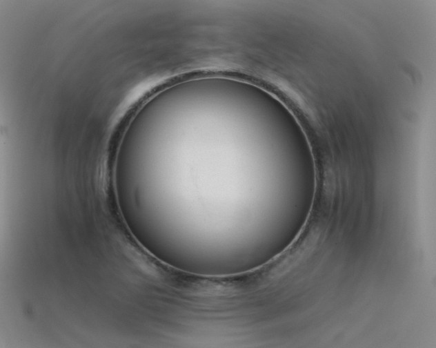 X0000115821270200911131437