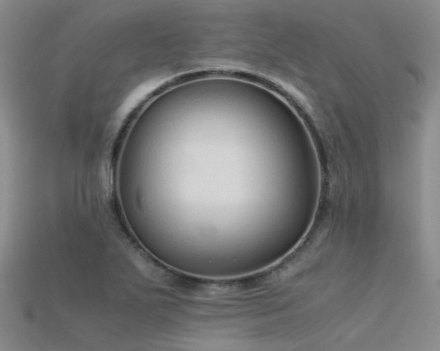 X0000115821271200911131437